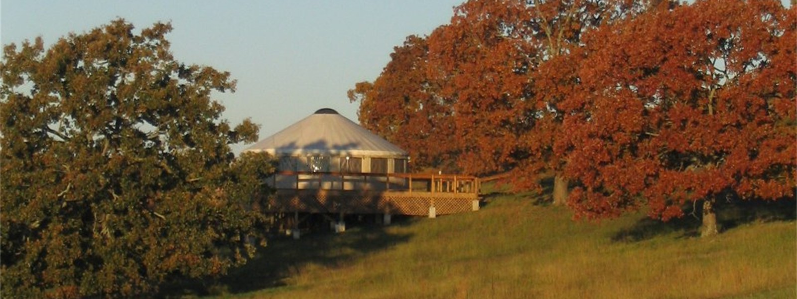 Deluxe yurt in autumn