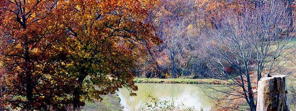 pond n autumn