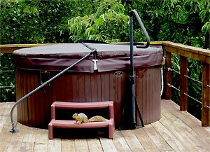 Hot tub fun in a deluxe cabin
